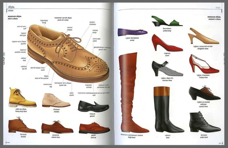 Классификация современной женской обуви.